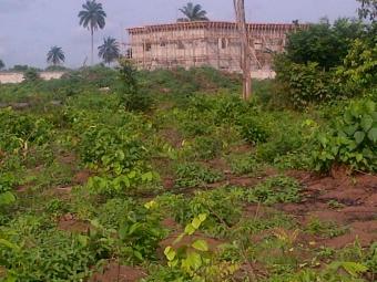 Plot of land Owerri Owerri