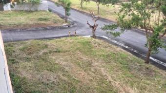 Plot of land Cavite Cavite