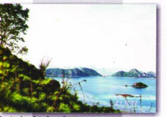 Plot of land Labuan Bajo Labuan Bajo