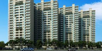 Apartment / Flat Gurgaon Gurgaon