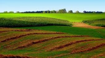 Plot of land chennai Chennai