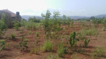 Plot of land Accra Central Accra Central