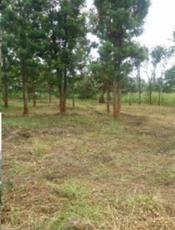 Plot of land Nairobi Nairobi