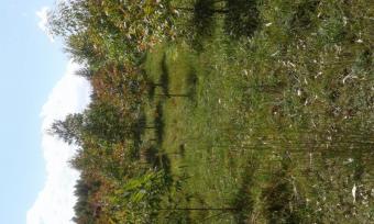 Plot of land Nakuru Nakuru
