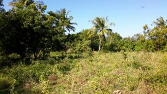 Plot of land Shimoni Shimoni