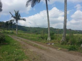 Plot of land Tagaytay Tagaytay