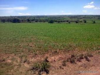 MAGUGUNI  PLOTS FOR SALE ,KIAMBU Thika