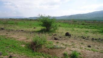 Plot of land Nairobi Nairobi