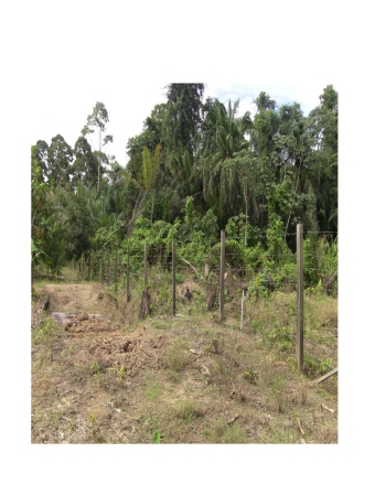 Plot of land East Bank Demerara East Bank Demerara