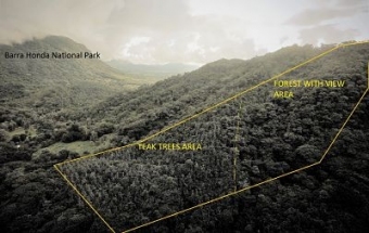 Plot of land Nicoya Nicoya