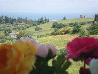 Detached house Kassandra Kassandra