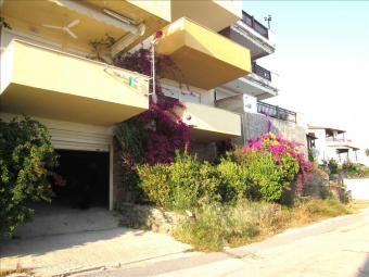 Flat Sithonia Sithonia