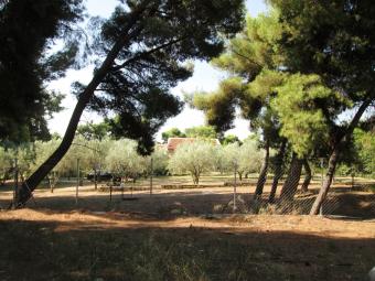 Maisonette Sithonia Sithonia