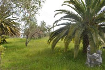 Detached house Corfu Corfu