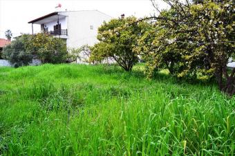 Detached house Kassandra Kassandra