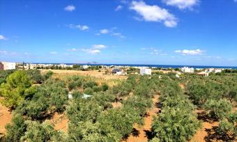 Hotel Crete Crete