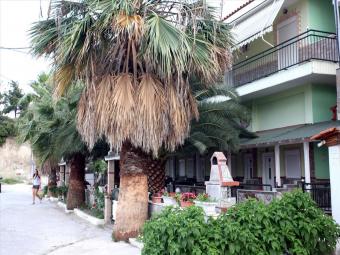 Hotel Kassandra Kassandra