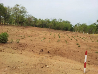 Plot of land Dambulla Dambulla