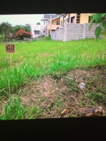 Plot of land Tagaytay Tagaytay