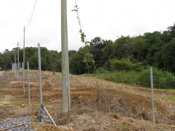 Plot of land Sangre Grande Sangre Grande