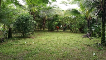 Plot of land Sarapiqui Sarapiqui