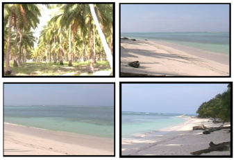 Plot of land balabac,palawan Balabac,palawan