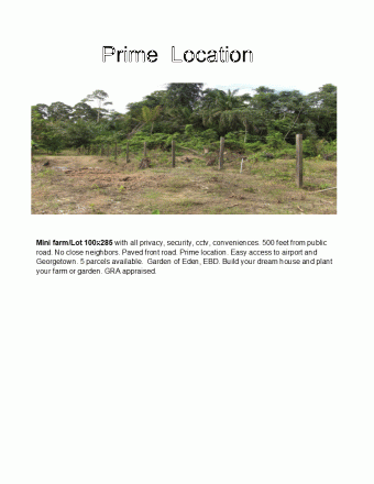 Plot of land East Bank Demerara East Bank Demerara
