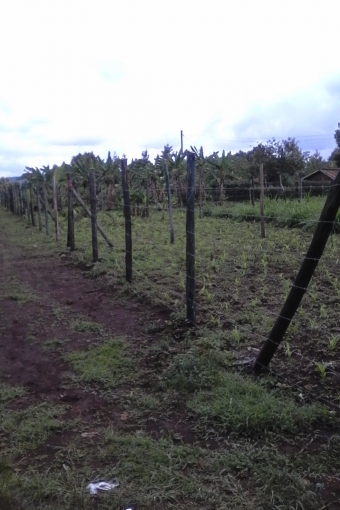 Plot of land Ruaka Ruaka