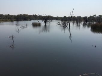 Plot of land Maun Maun