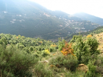 Plot of land Aramoun Aramoun