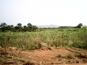 Plot of land Winneba Winneba