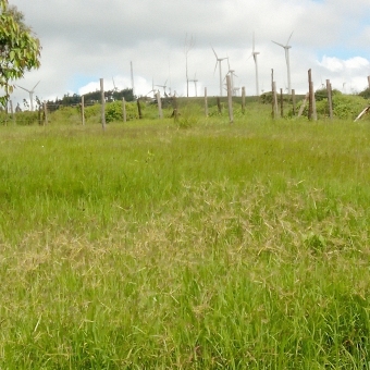 Plot of land Ngong Ngong