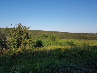 Plot of land IASI Iasi