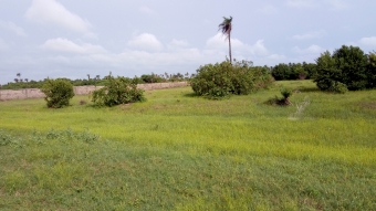 Plot of land Lekki Lekki