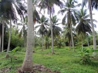 Plot of land Matara Matara