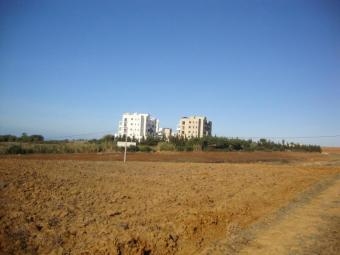 Plot of land asilah Asilah