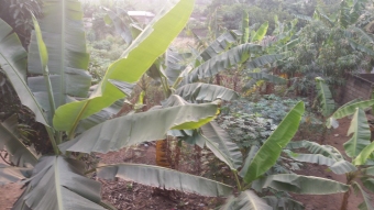 Plot of land Accra Accra
