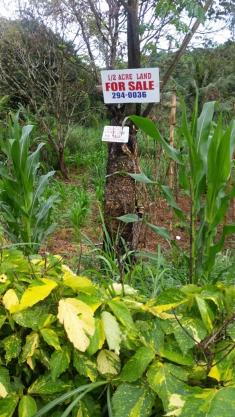 Plot of land Borobridge Borobridge