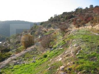 Land Limassol Limassol, Fasoula (lemesou)