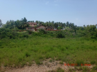 Plot of land Limbe Limbe