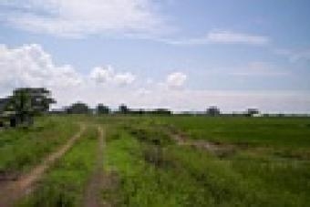 Plot of land Bota Bota