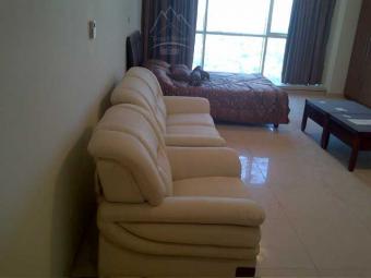 Apartment Jumeirah Lake Towers Jumeirah Lake Towers, Dubai