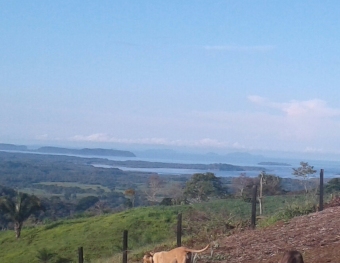 Plot of land GULF OF CHIRIQUI Gulf Of Chiriqui