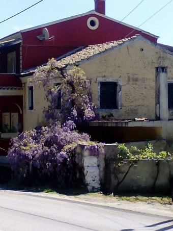 House Skriperon Skriperon