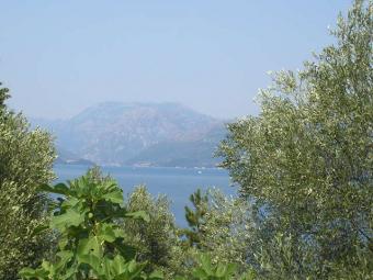 Just Montenegro Tivat