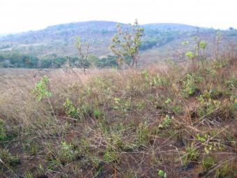5 hectares Mondulkiri, Cambodia Sen Monorum