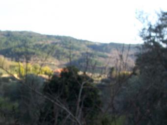 beautiful farm near Viseu Viseu