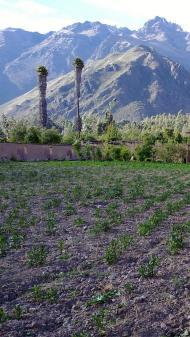 LAND FOR SALE Urubamba