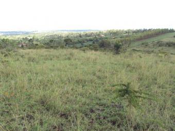 1/8 PLOTS FOR SALE. Nairobi