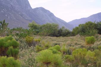 Stunning Plot for sale Bettys Bay
